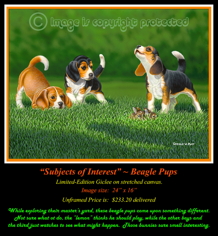 G142 Subjects of Interest - Beagle Pups Giclee 72(2).jpg