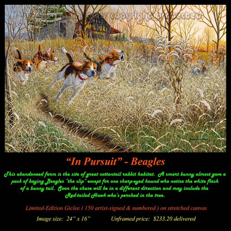 G146  In Pursuit - Beagles(1).jpg