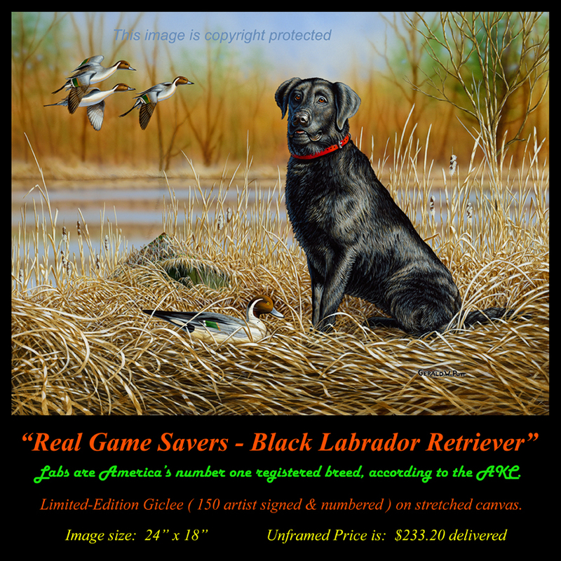 G148 Real Game Saver - Black Lab Giclee(1).jpg