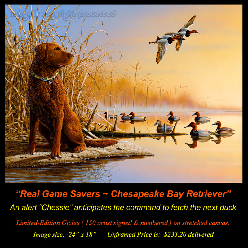G149 Real Game Saver - Chesapeake Bay Retriever Giclee(1).jpg