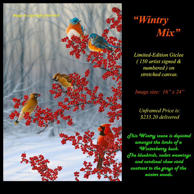 G151 Wintry Mix Giclee(1).jpg