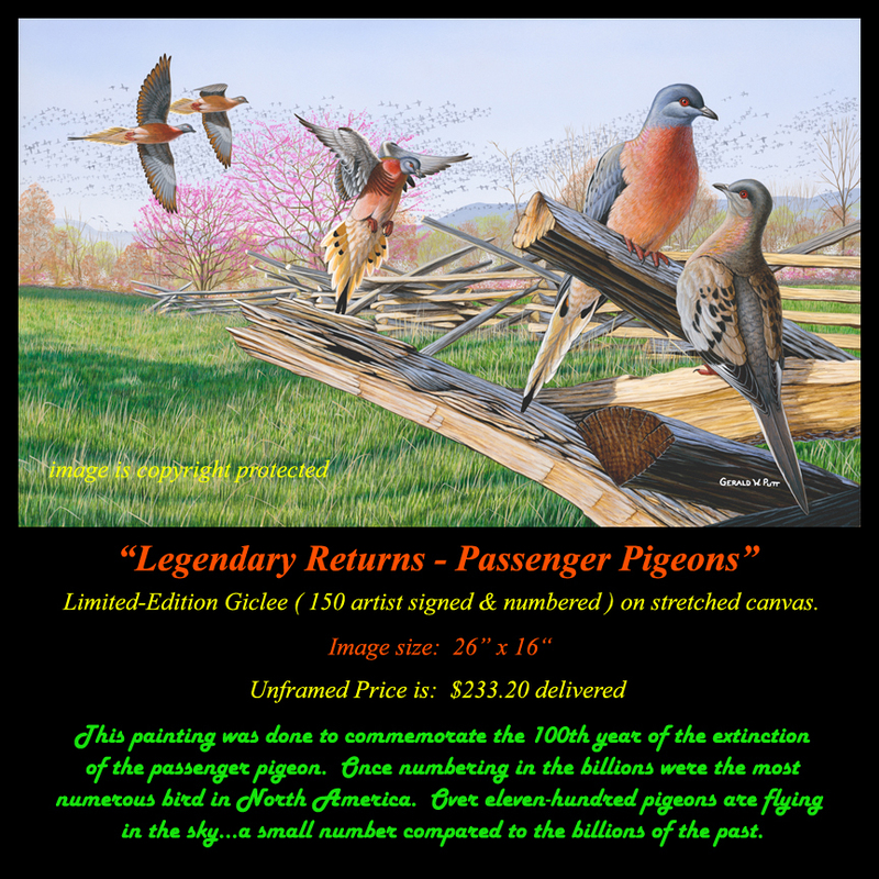 G154 Legendary Returns - Passenger Pigeons Giclee(1).jpg