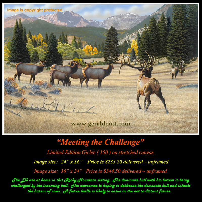 G156 MTC giclee 72.jpg