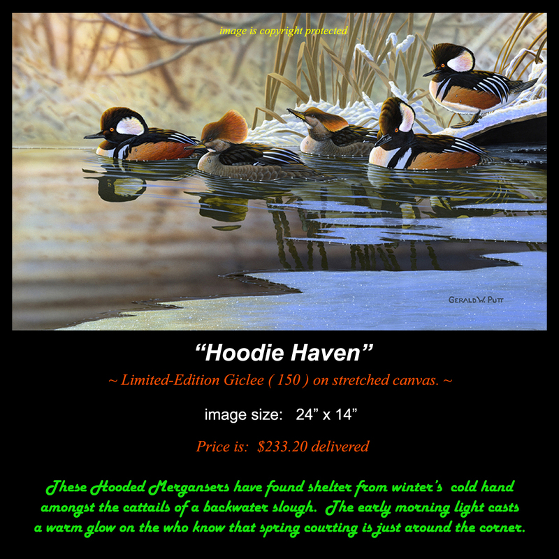 G164 Hoodie Haven giclee(1).jpg