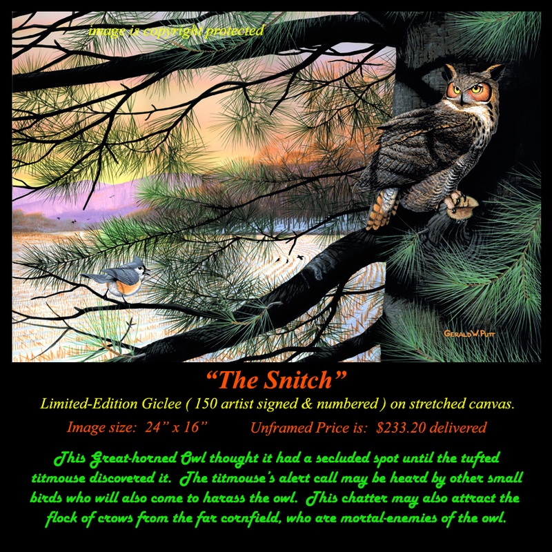 G171 The Snitch Giclee(1).jpg