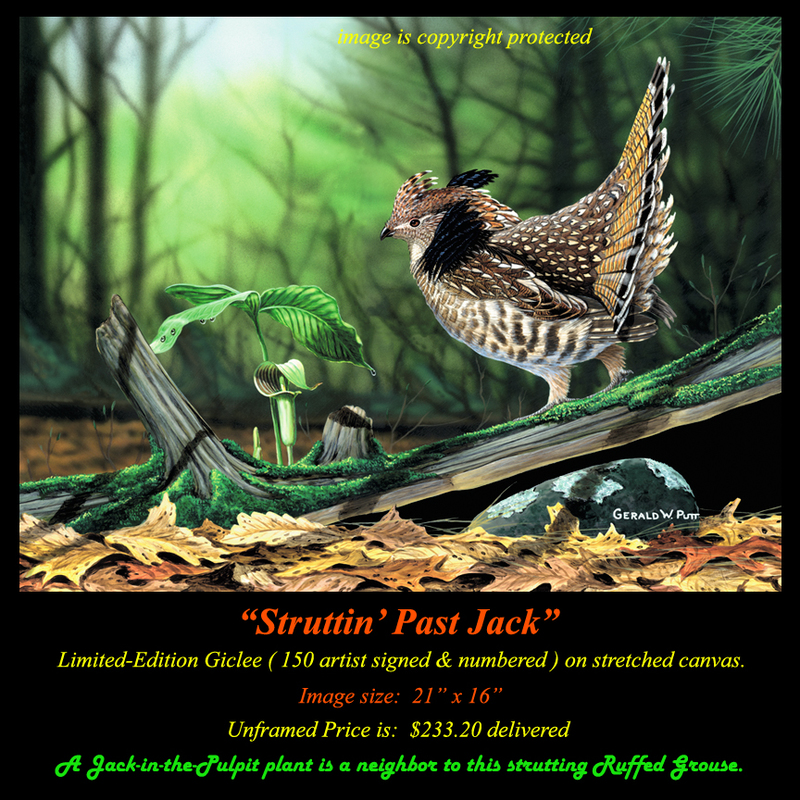 G172 Struttin Past Jack Giclee(1).jpg