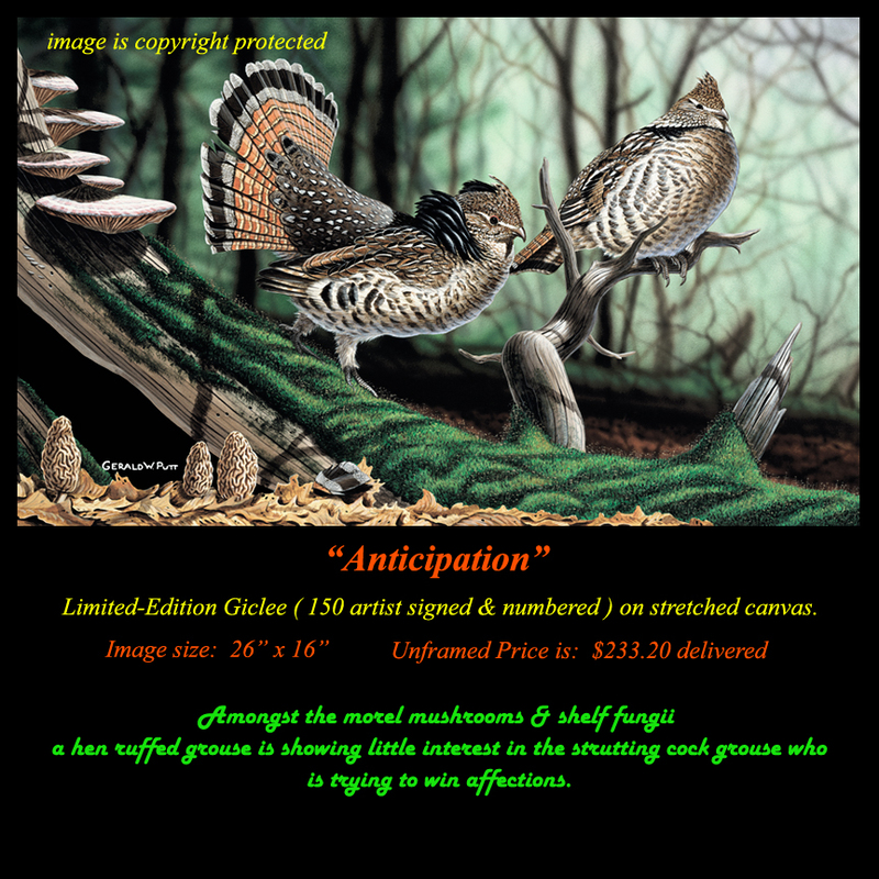 G176 Anticipation Giclee(1).jpg