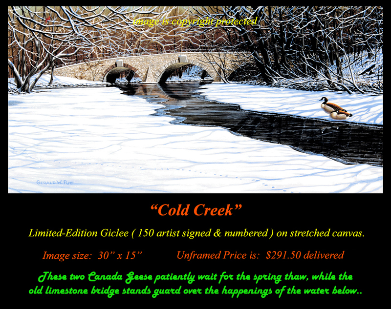 G177 Cold Creek Giclee(1).jpg