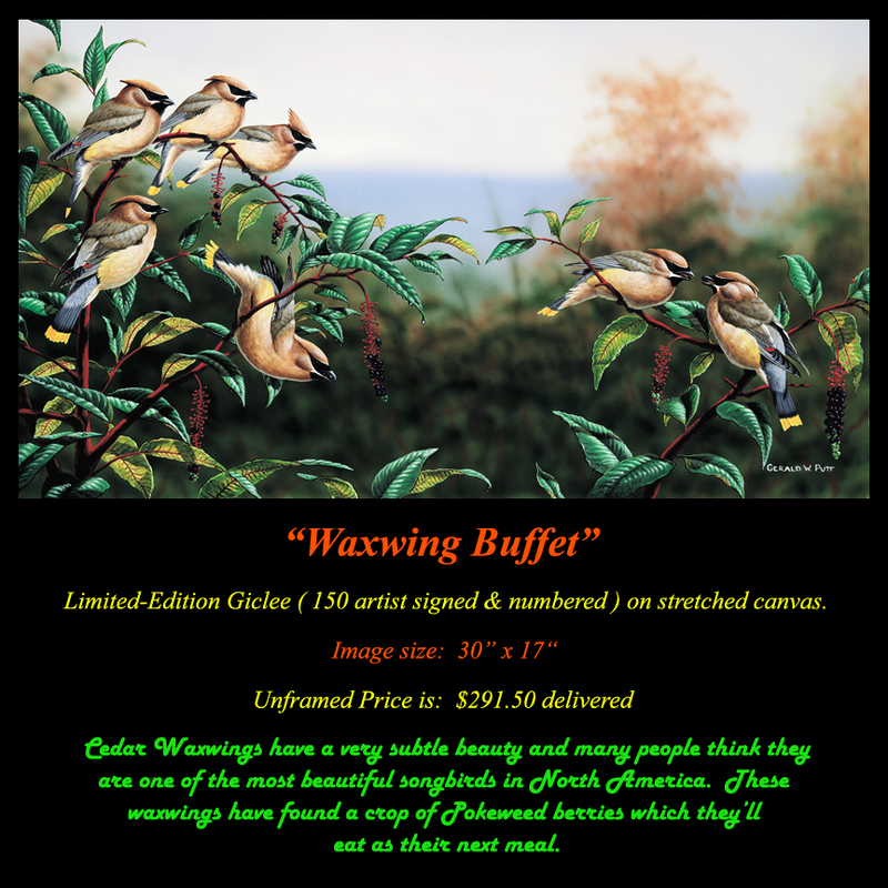 G183 Waxwing Buffet Giclee(1).jpg