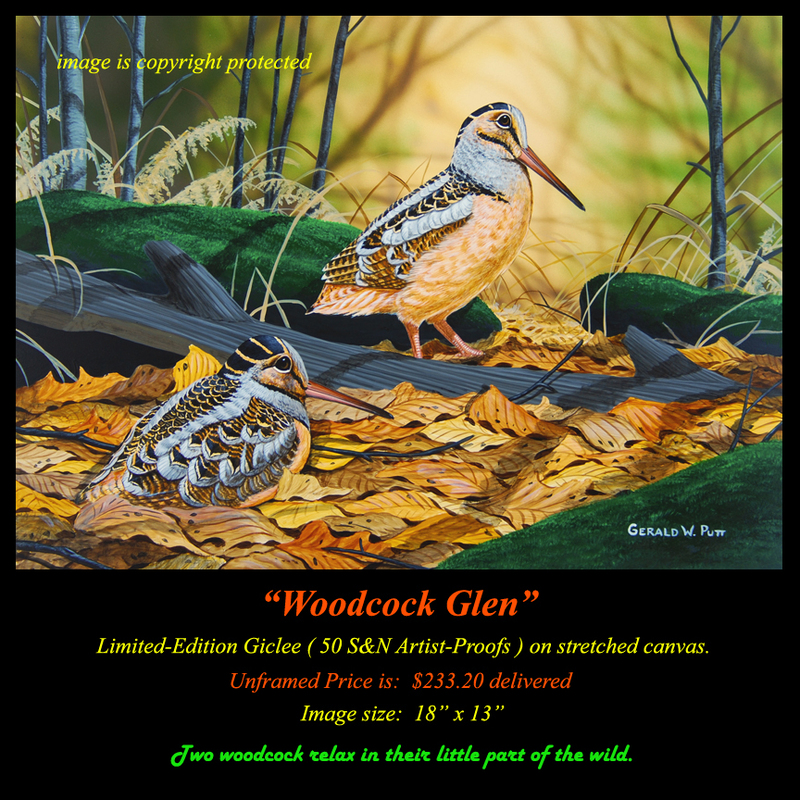 G184 Woodcock Glen Giclee(1).jpg