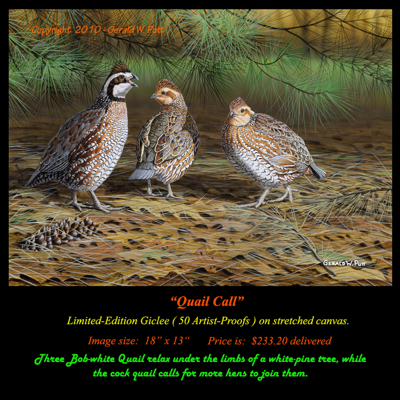 G186 Quail Call giclee(1).jpg