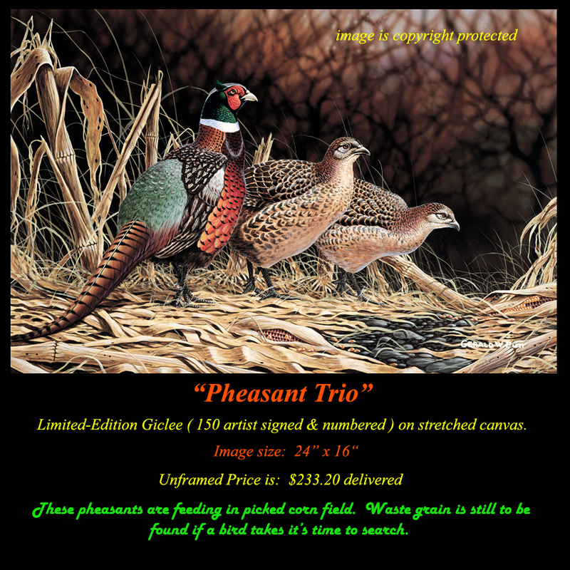 G190 Pheasant Trio Giclee(1).jpg