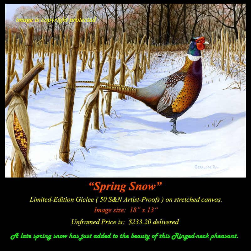G196 Spring Snow Giclee 72.jpg