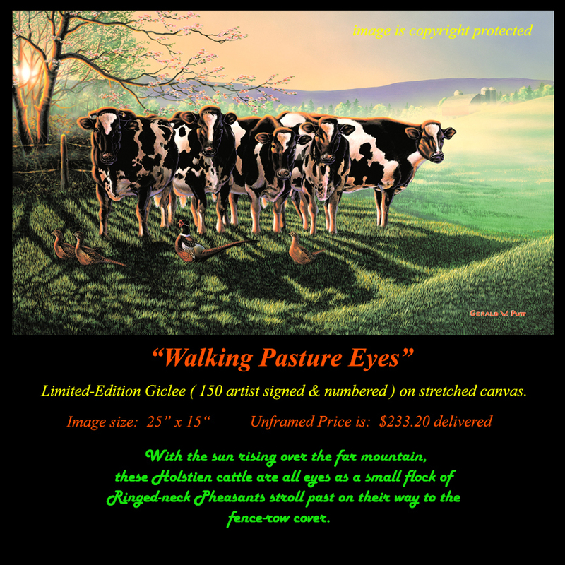 G198 Walking Pasture Eyes Giclee 72(2).jpg