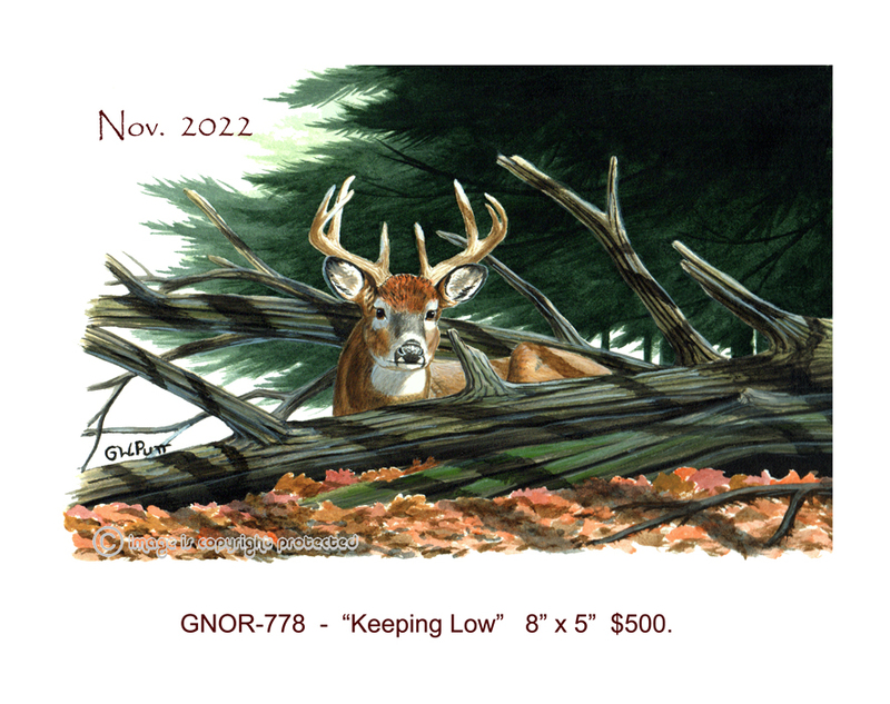 GNOR 778  Keeping Low 11-22  100.jpg