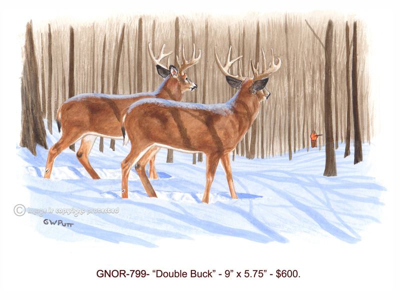 GNOR-799-Double Buck - 600(1).jpg