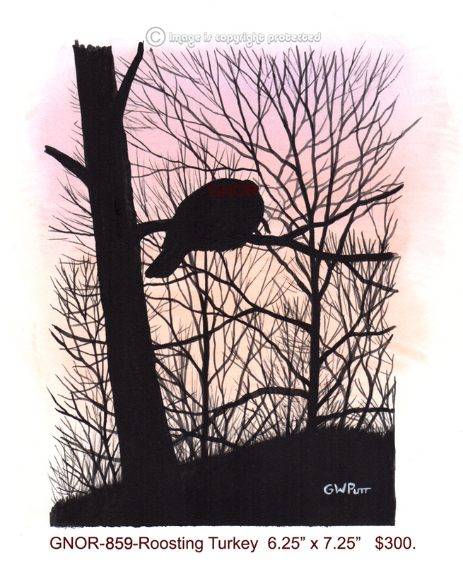GNOR-859-Roosting Turkey  300.jpg