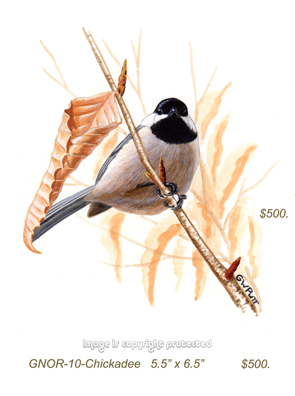 GNOR-912-Chickadee    500.jpg