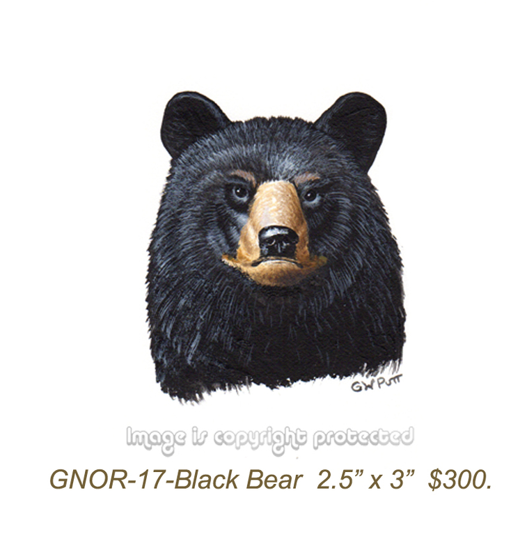 GNOR-917-Black Bear Bust  300.jpg