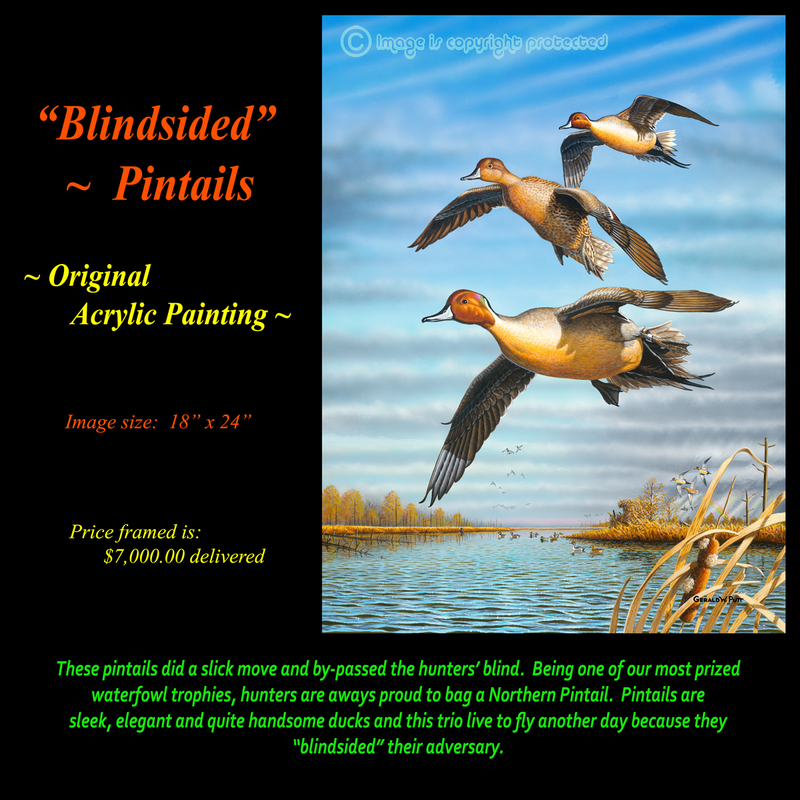 O 112 Blindsided Original for Web.jpg