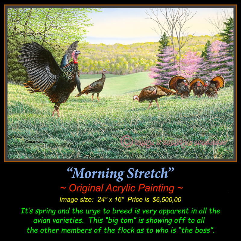 OR 114 Morning Stretch(1).jpg
