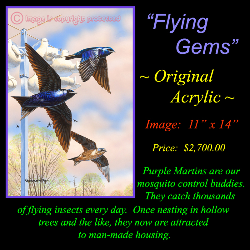 OR 115 Flying Gems(1).jpg