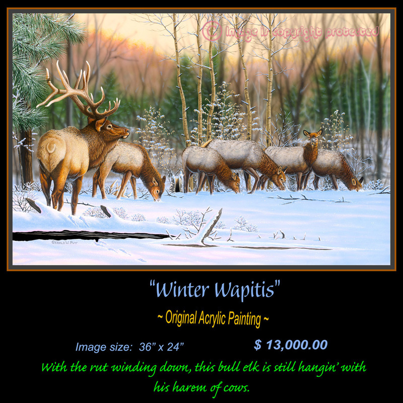 OR 116 Winter Wapiti.jpg