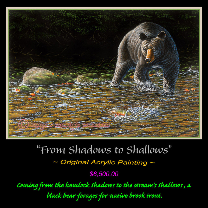 OR 118 From Shadows to Shallows(1).jpg