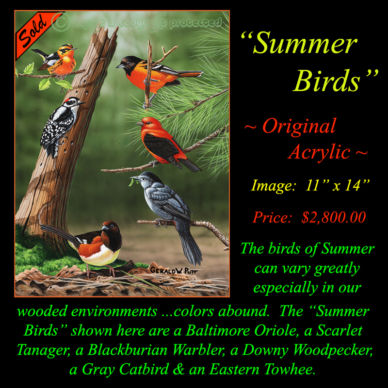 OR 119  Summer Birds.jpg