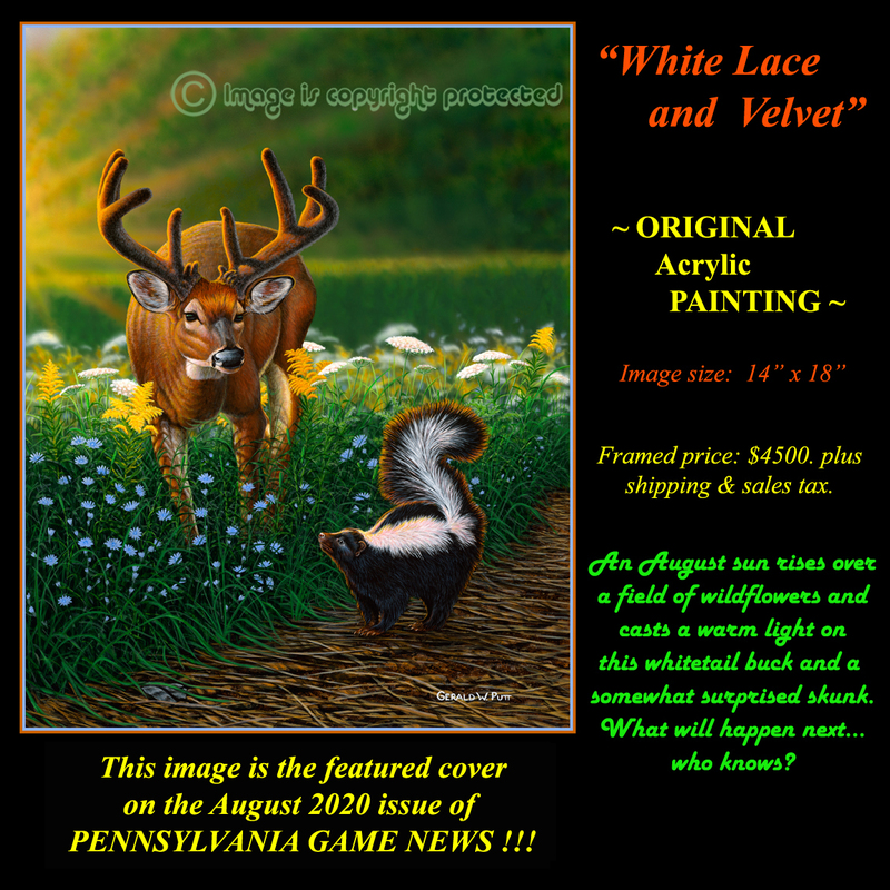 OR134 White Lace n Velvet - Buck n Skunk Original 96.jpg