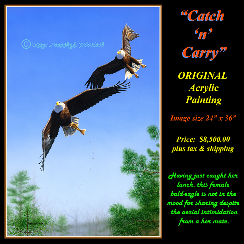 OR141 Catch n Carry - Bald Eagles Original  72.jpg