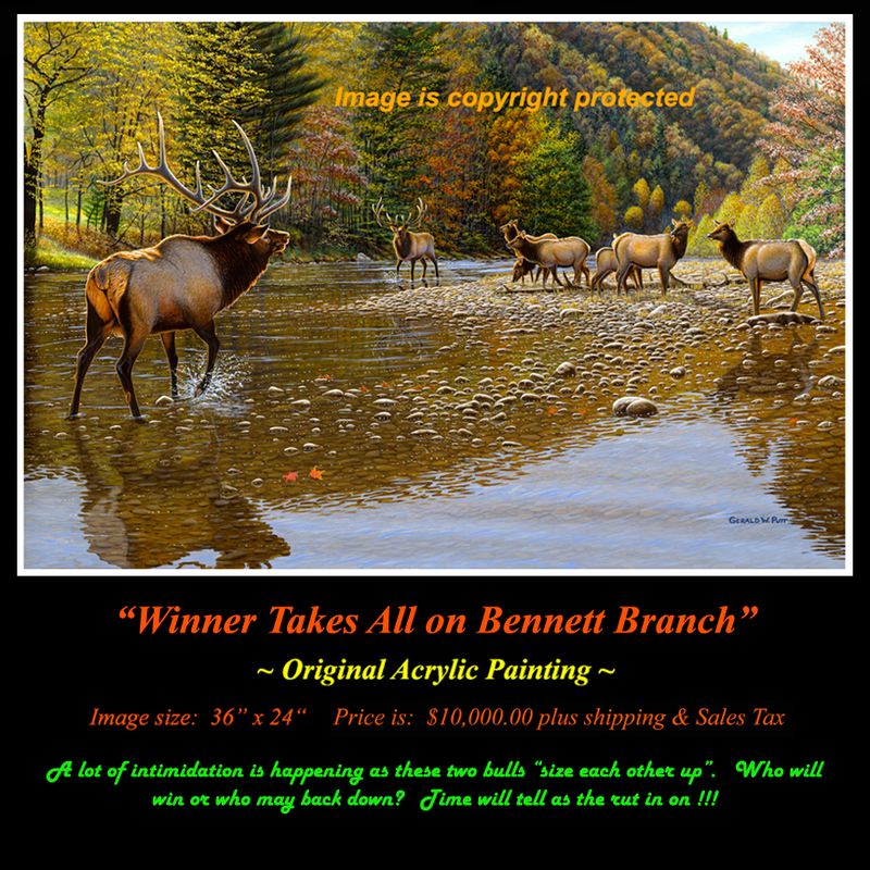 OR144 Winner Takes All on Bennett Branch - Elk Original.jpg