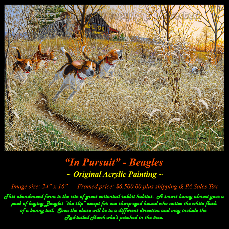 OR146 In Pursuit - Beagles.jpg