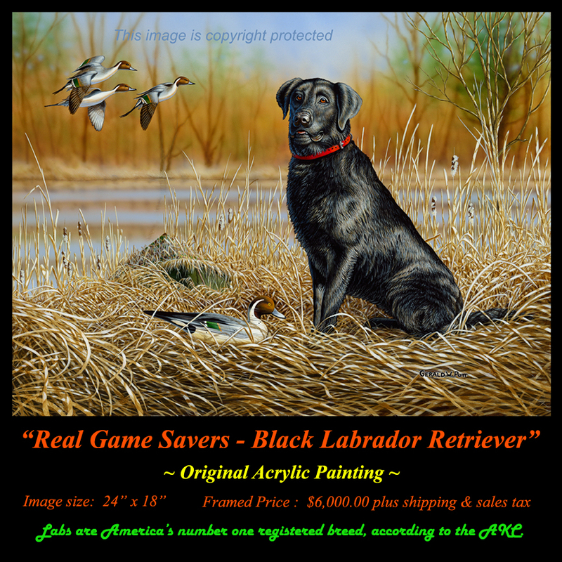 OR148 RGS Black Lab Original.jpg