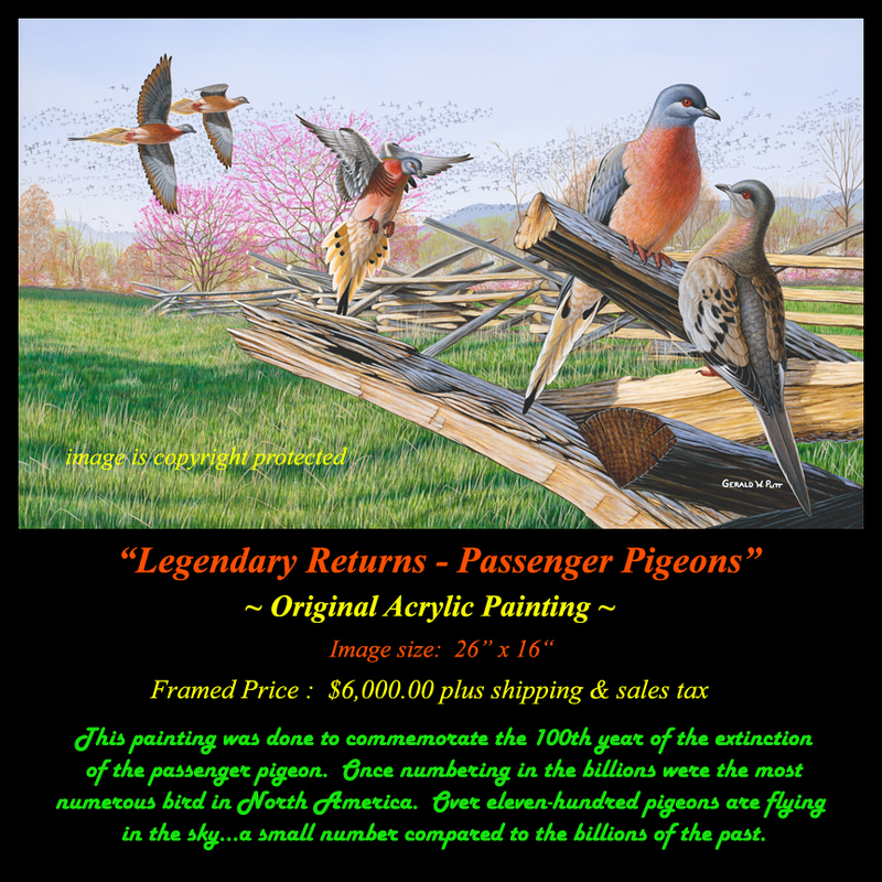 OR154 Legenday Returns - Passenger Pigeons Original.jpg