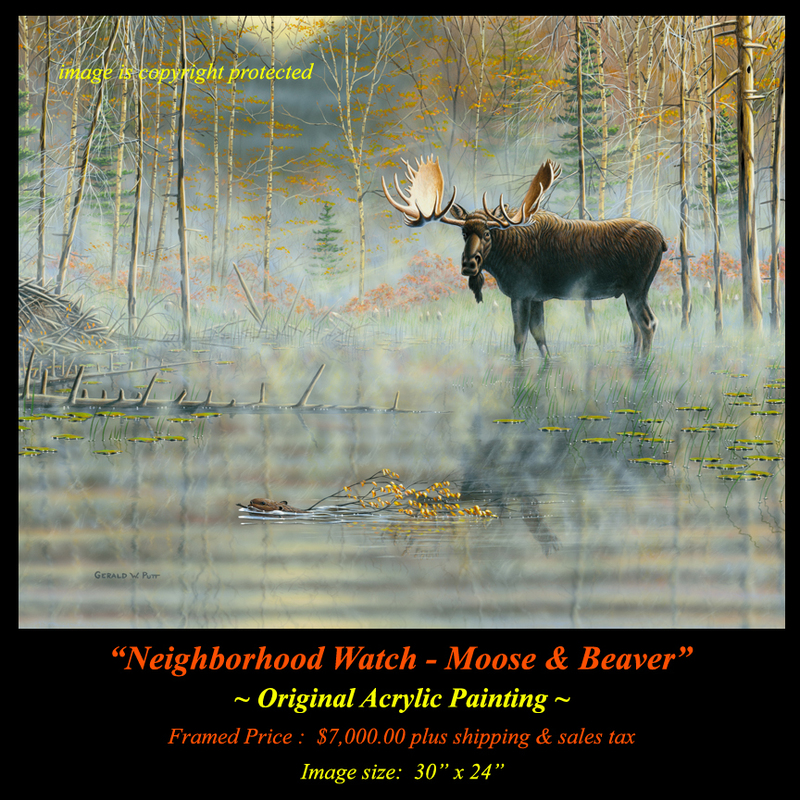 OR164 Neighborhood Watch - Moose  Beaver Original(1).jpg