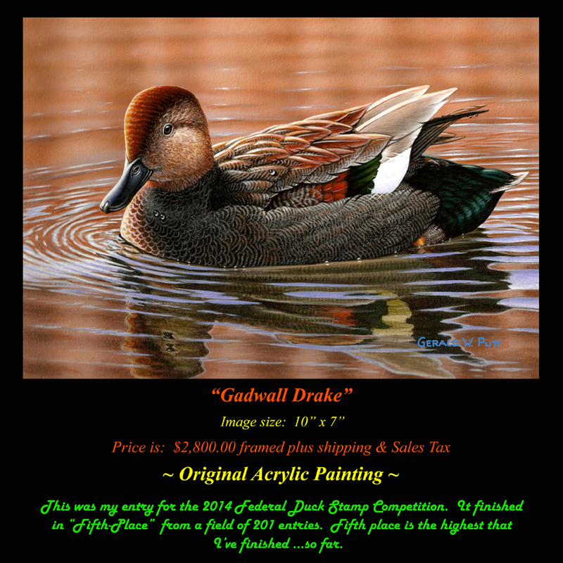 OR167 2014 Fed Gadwall(1).jpg