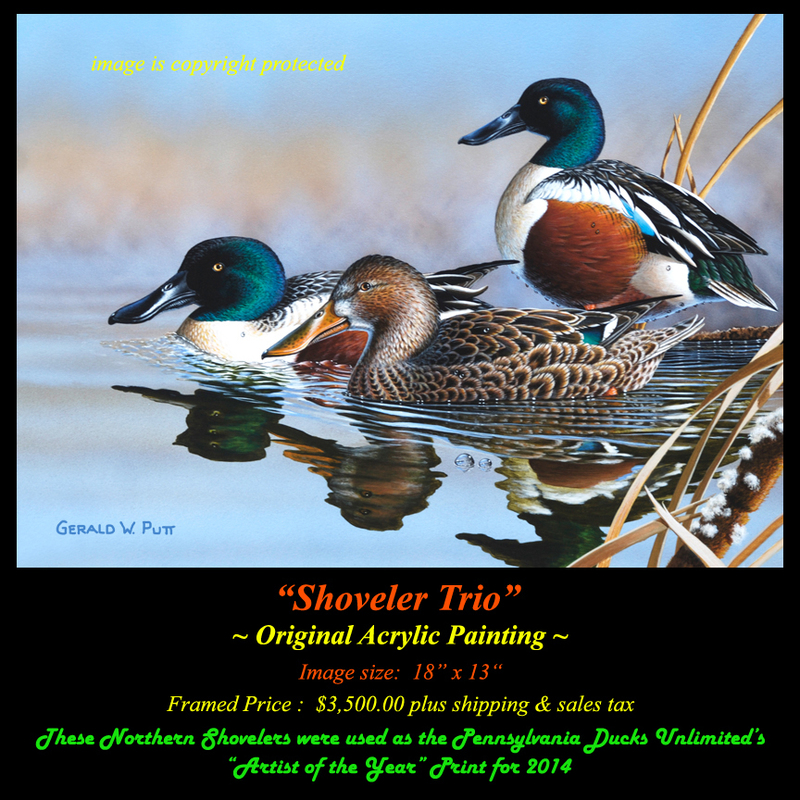 OR170 Shoveler Trio DU Original(1).jpg