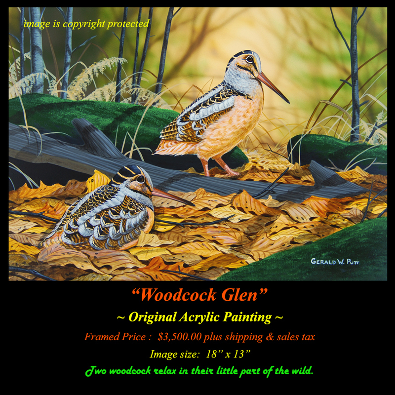 OR172 Woodcock Glen Original(1).jpg