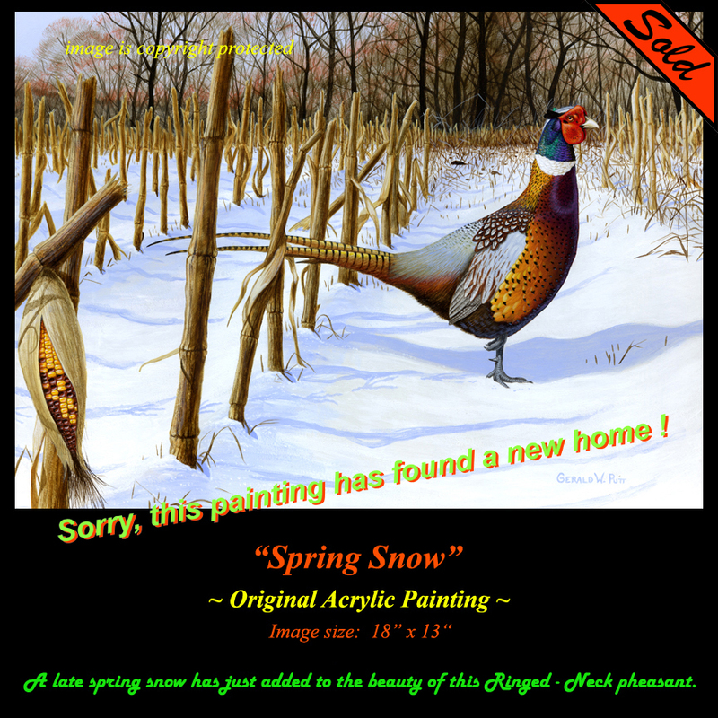 OR174 Spring Snow Original Ss.jpg