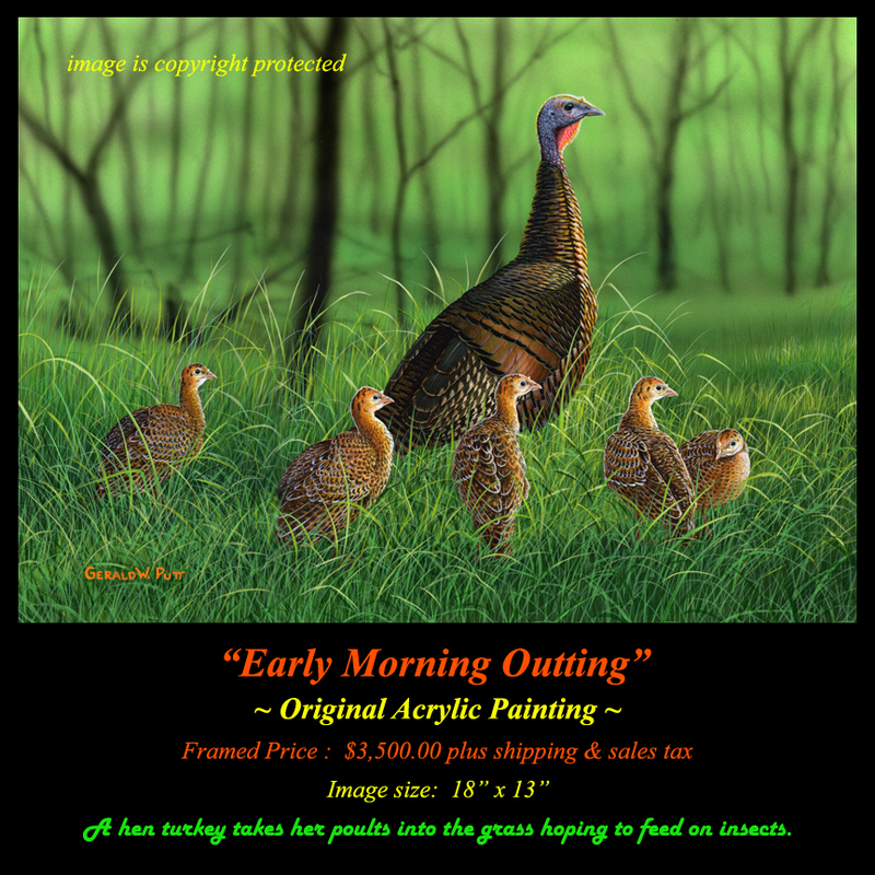 OR186 Early Morning Outing  Original.jpg