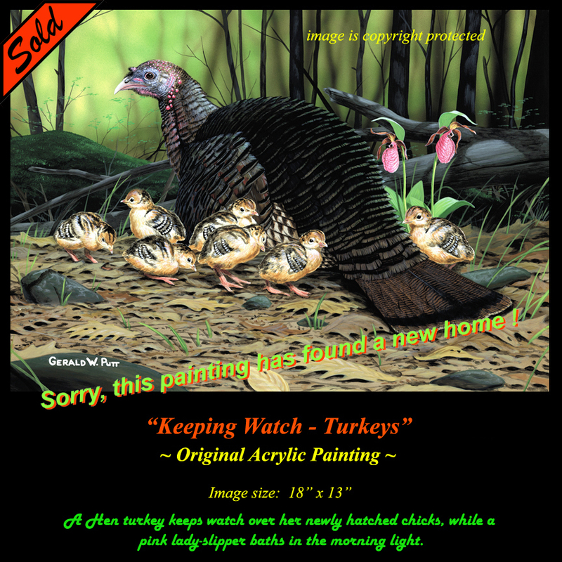 OR188 Keeping Watch - turkeys Original Ss.jpg