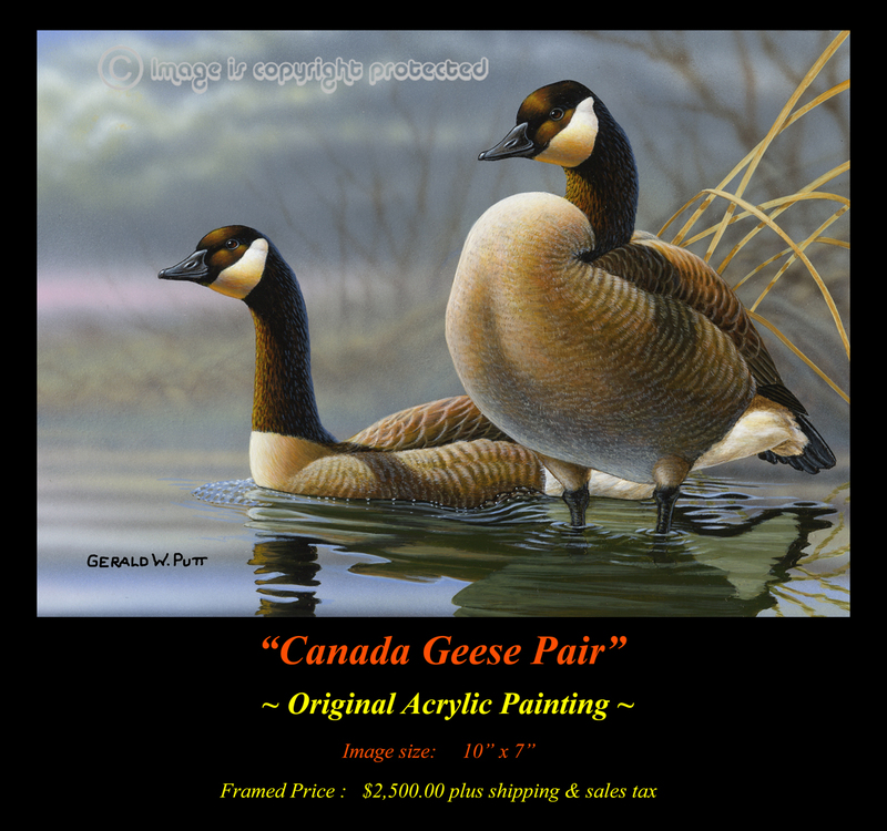 OR207 Canada Geese Pair Original.jpg