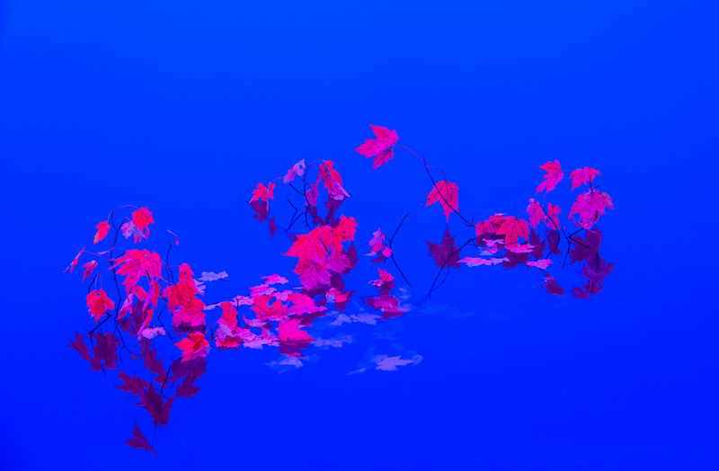 Blue Abyss.jpg :: Blue Abyss