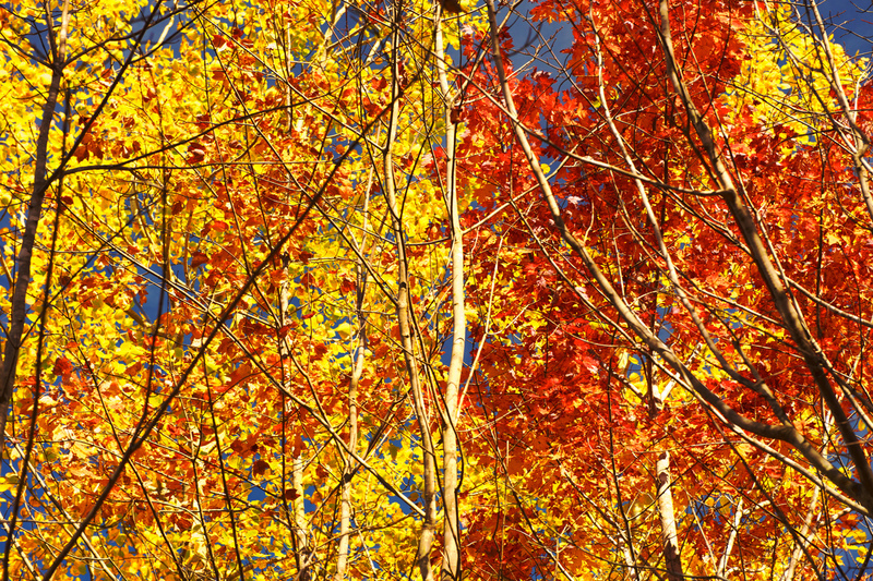 DSC_0204 - Version 2-2.jpg