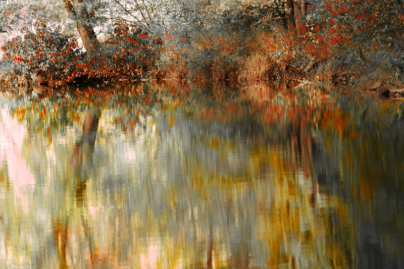 DSC_0521 - Version 2-2.jpg