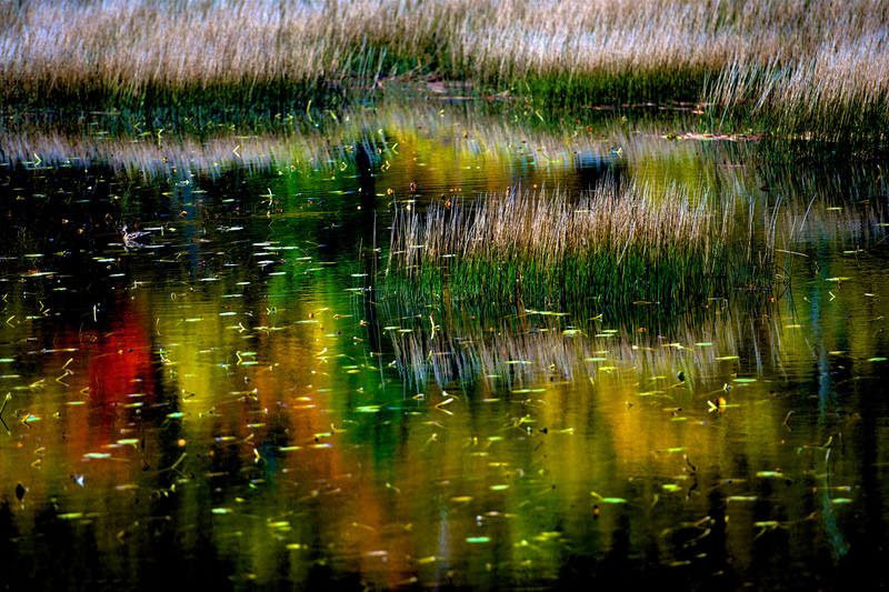 DSC_0920 - Version 2(1).jpg