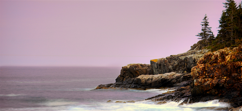 DSC_1113_4_5_tonemapped - Version 4.jpg