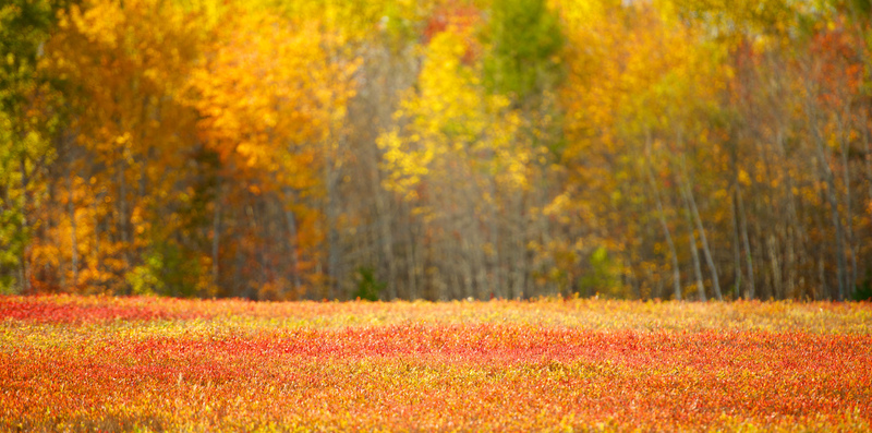 DSC_1655 - Version 2(1).jpg