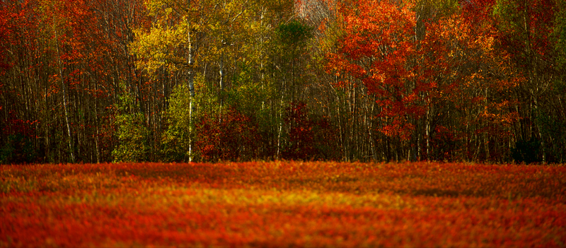 DSC_1657 - Version 3.jpg